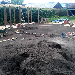 Landscaped Garden Sussex