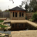 Wildlife Pond Sussex