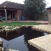 Wildlife Pond Sussex