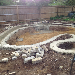 Wildlife Pond Sussex